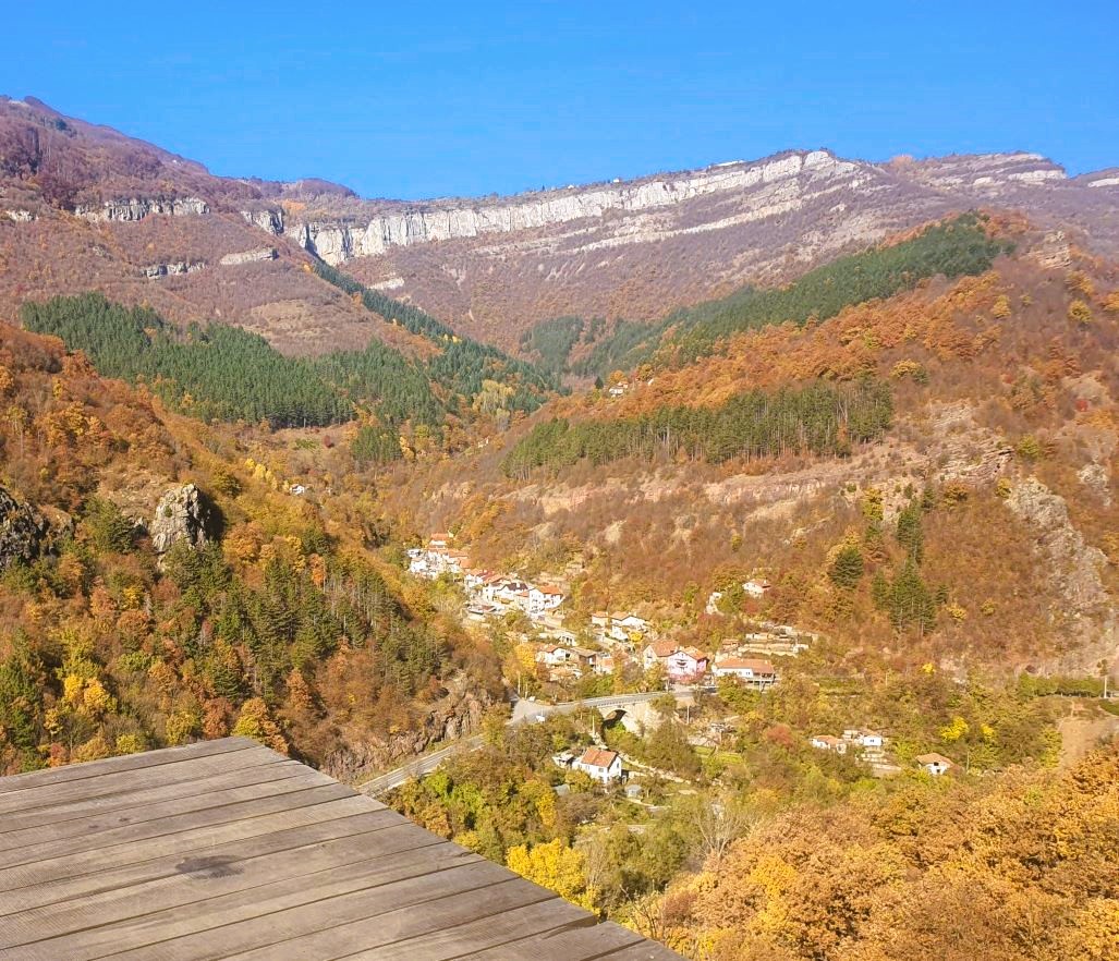 гара бов